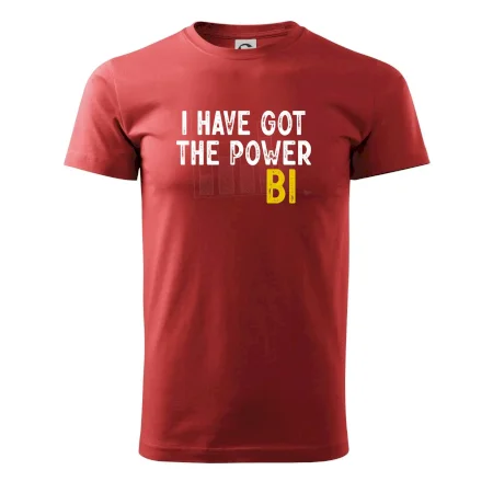 I have got the power bi