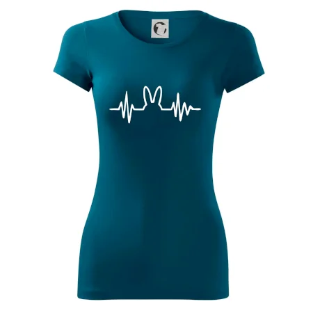 EKG zajíc