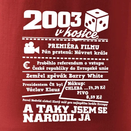 2003 v kostce