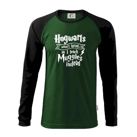 Harry - Hogwarts wasn’t hiring, so I teach Muggles instead