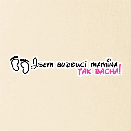 Jsem budoucí mamina - tak bacha!