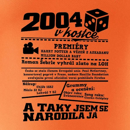 2004 v kostce