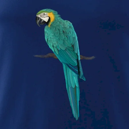 Ara