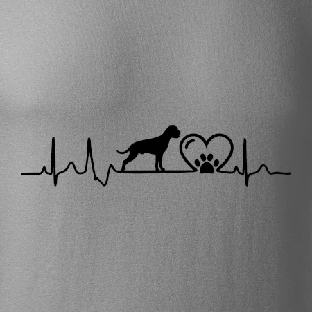 Německý boxer EKG
