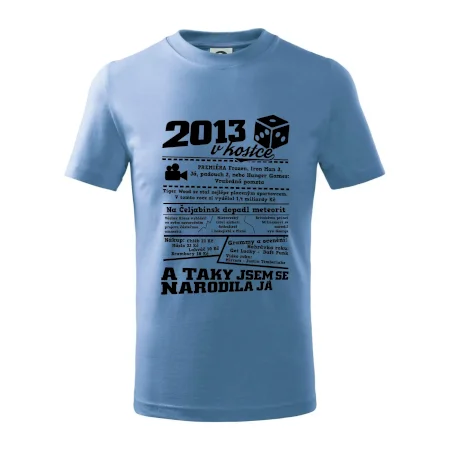 2013 v kostce