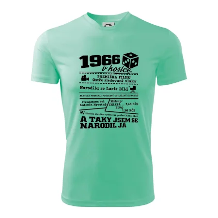 1966 v kostce
