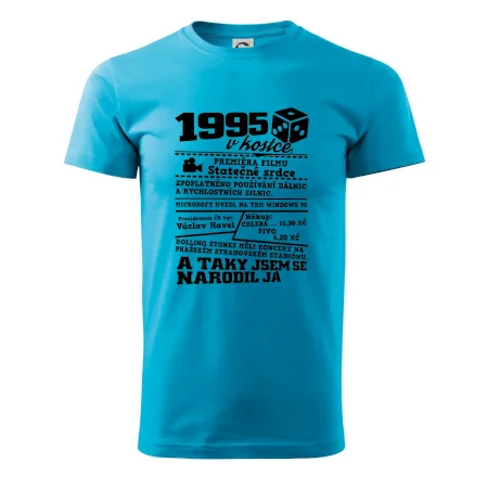 1995 v kostce