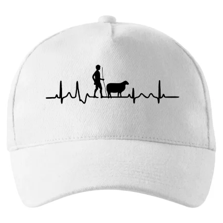 Ekg pastevec ovcí