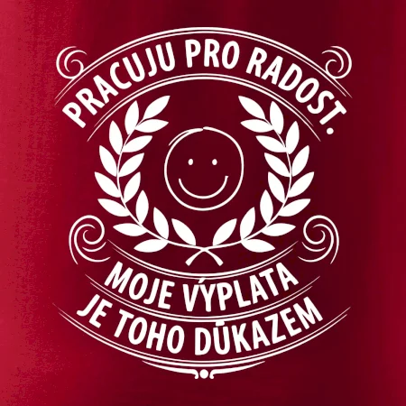 Pracuju pro radost. moje výplata je toho důkazem