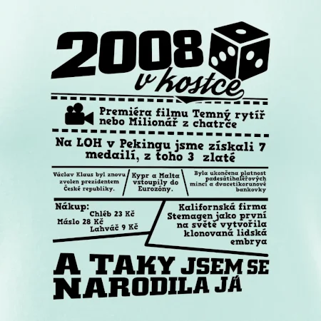 2008 v kostce