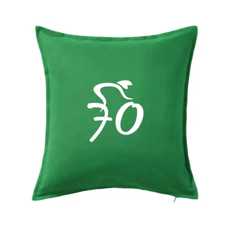 Cyklista slaví sedmdesátku (70)