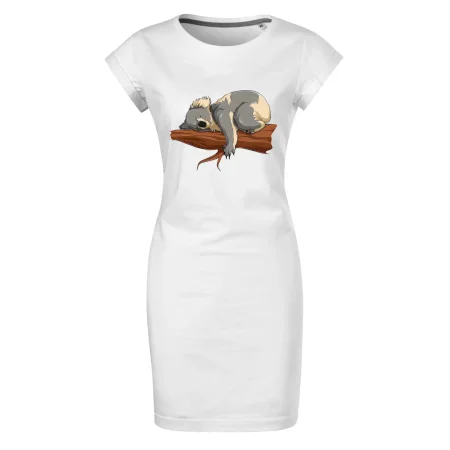 Koala na větvi