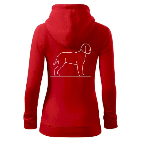 Lagotto romagnolo stojící