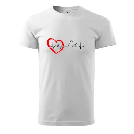 Německý ovčák ekg