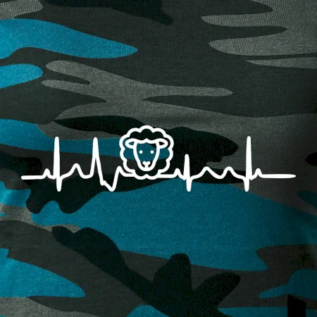 Ekg ovce
