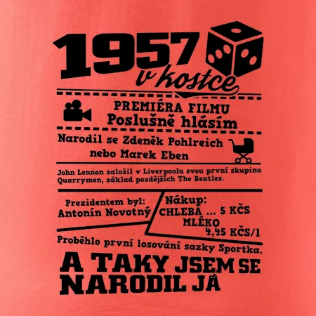 1957 v kostce