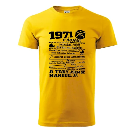 1971 v kostce