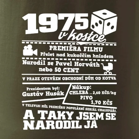 1975 v kostce