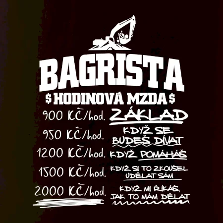 Hodinová mzda bagrista