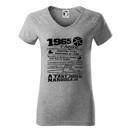1965 v kostce