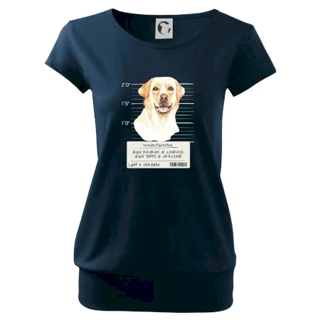 Lump a darebák labrador