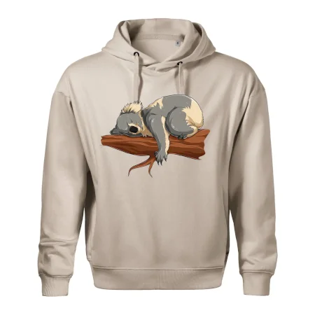 Koala na větvi