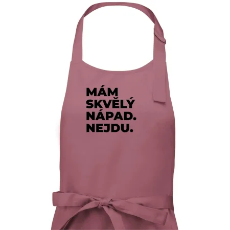 MÁM SKVĚLÝ NÁPAD. NEJDU.