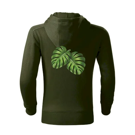 Monstera - dva listy