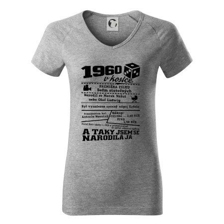 1960 v kostce