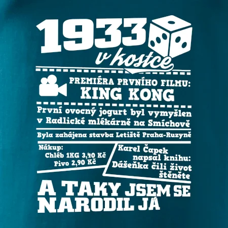 1933 v kostce