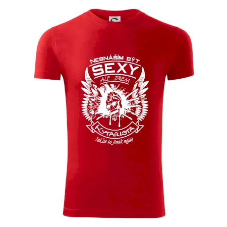 Nesnáším být sexy - kytarista