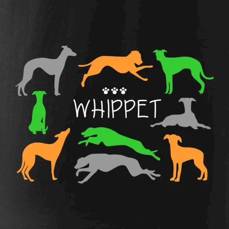 Whippet barevný