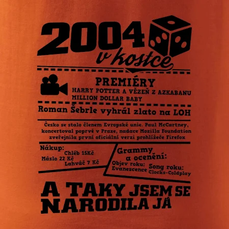 2004 v kostce