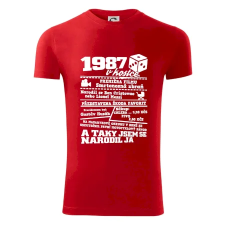 1987 v kostce