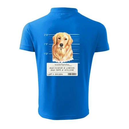 Lump a darebák zlatý retrívr