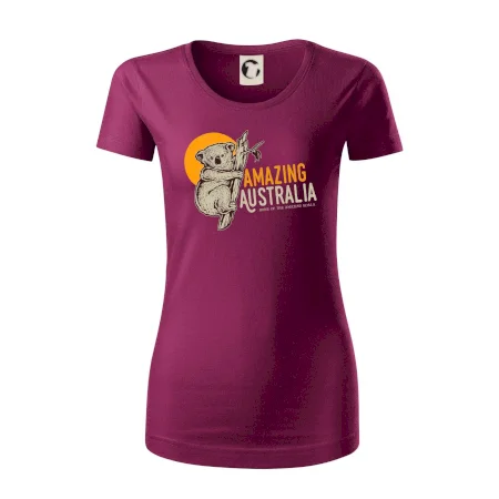 Amazing Australia koala