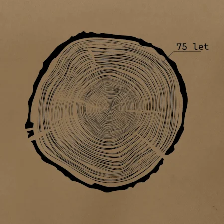 Letokruhy - 75
