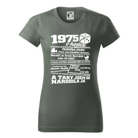1975 v kostce