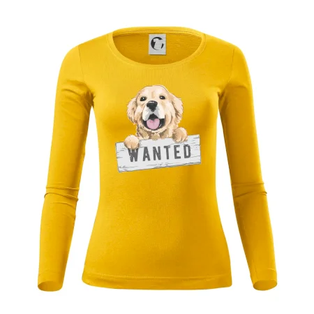 Zlatý retriever - štěně wanted
