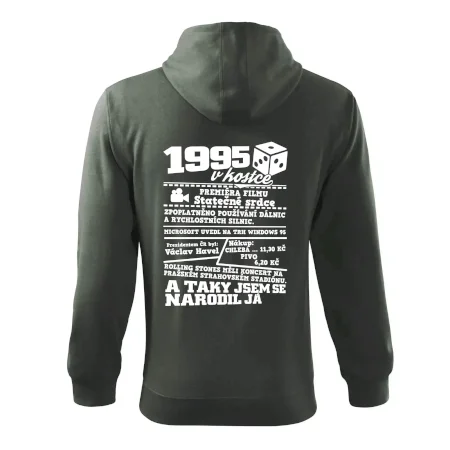 1995 v kostce