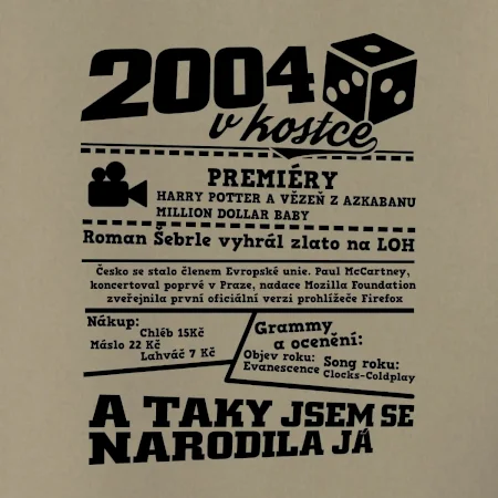 2004 v kostce