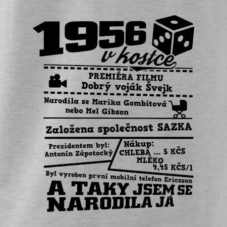 1956 v kostce