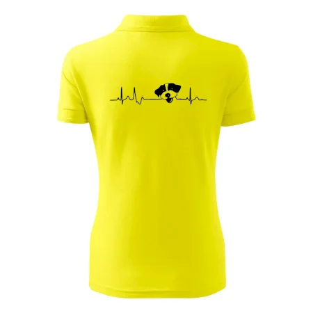 Jack Russell Terriér hrubosrstý Ekg