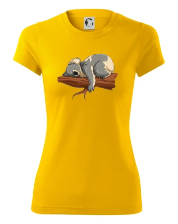 Koala na větvi