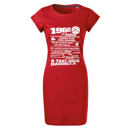1960 v kostce