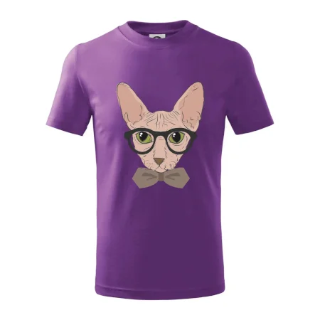 Hipster sphynx