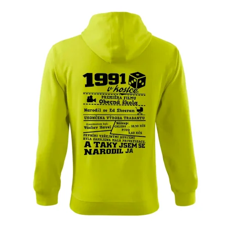 1991 v kostce