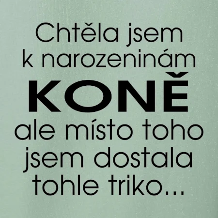 Chtěla jsem dostat k narozeninám koně