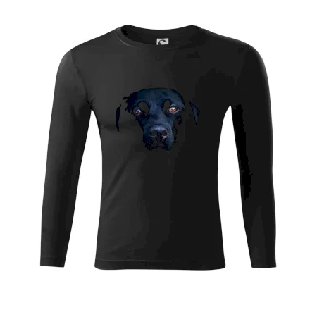 Černý Labrador fotka