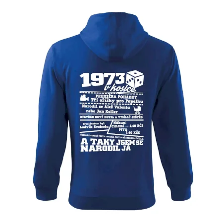 1973 v kostce